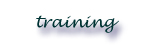 training services